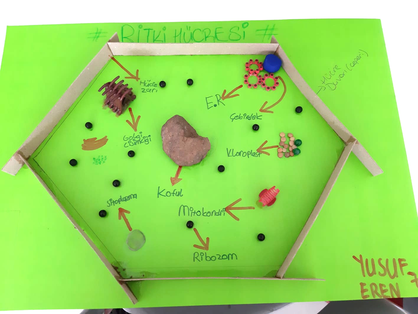 24 KASIM ÖĞRETMENLER GÜNÜ KUTLAMALARI